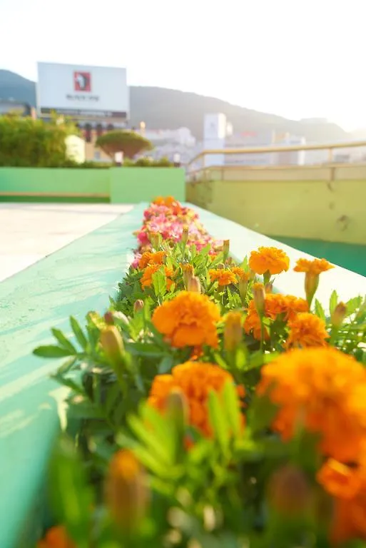 24 Guesthouse Jagalchi Busan Guest house