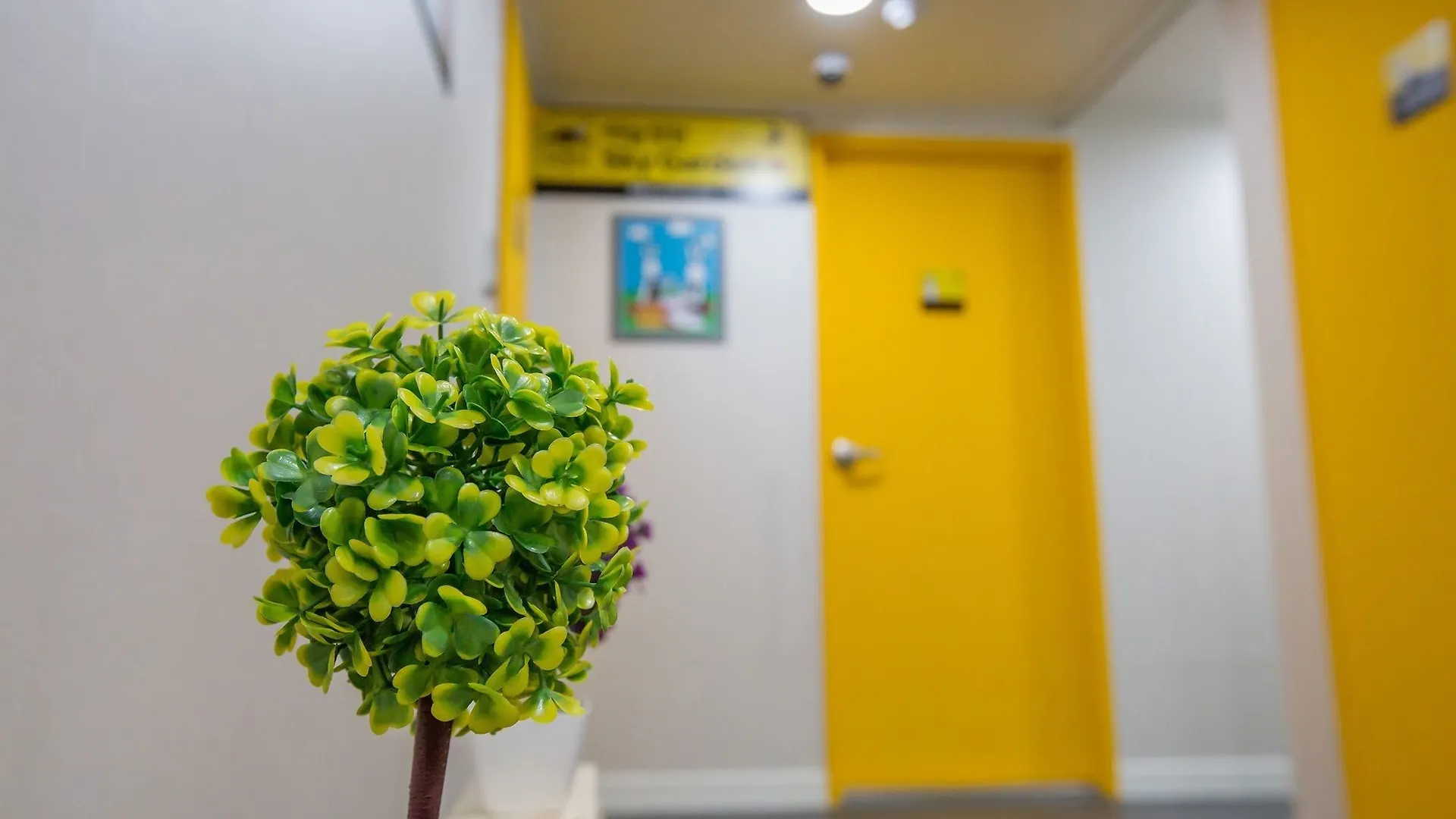 24 Guesthouse Jagalchi Busan 2*,